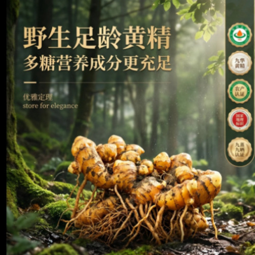 多模型协同处理